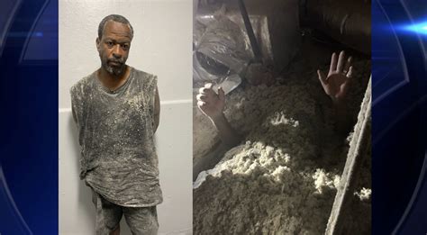 Florida man hides in insulation debris to escape arrest for alleged burglary in progress