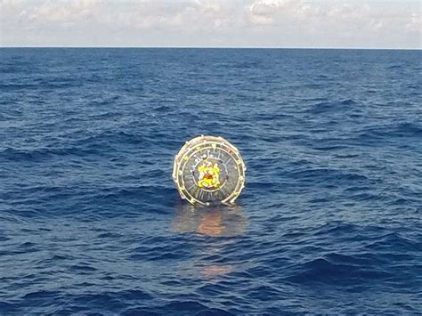 Florida man riding human-sized hamster wheel in Atlantic Ocean faces federal charges