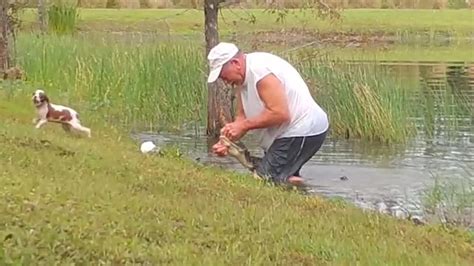 Florida man saves dog following alligator attack near Orlando