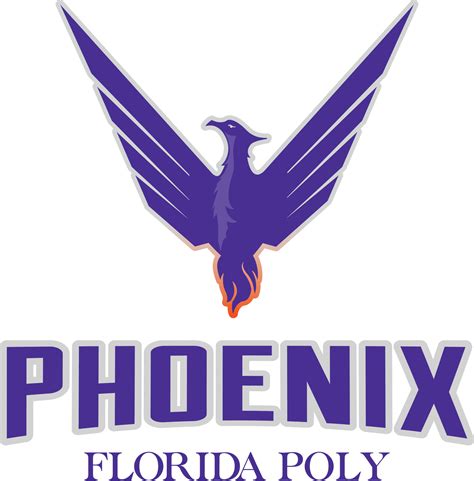 Florida phoenix. Things To Know About Florida phoenix. 