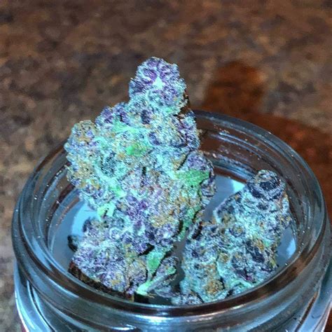 Lemon Cherry Gelato is a hybrid weed strain made from a genetic cross between Sunset Sherbet and Girl Scout Cookies. Lemon Cherry Gelato is 25% THC, making this strain an ideal choice for .... 