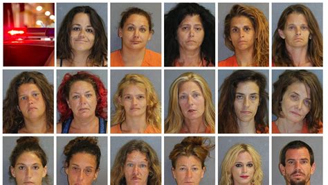 Florida prostitution sting mugshots. Florida’s solicitation statute has more severe penalties than other prostitution-related offenses. The penalties for solicitation in Florida include the following: First offense. This is a 1st-degree misdemeanor that carries fines up to $1000 and a term of imprisonment up to 1 year. Second offense. 