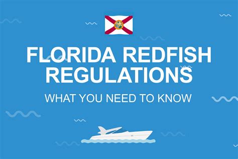 Florida redfish regulations 2025