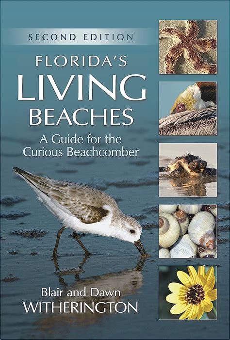 Florida s living beaches a guide for the curious beachcomber. - Reebok z9 exercise bike manualhydraulic training manuals.