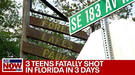 A 14-year-old has been charged with murder after being accused of fatally shooting his older sister on Christmas Eve during a family dispute over gifts, Tampa Bay area authorities say. His 15-year ... . Florida teen murders