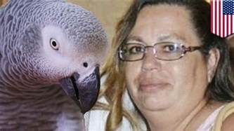 Florida woman accused of shooting, killing parrot during fight with husband