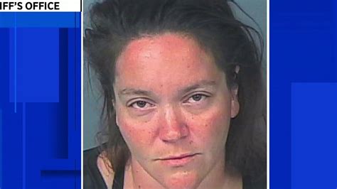 Florida woman shot dogs 173 times with BB gun when they tried ... - WKMG