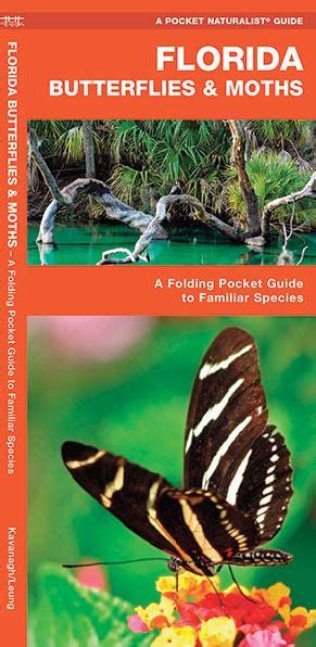 Full Download Florida Butterflies  Moths A Folding Pocket Guide To Familiar Species By James Kavanagh