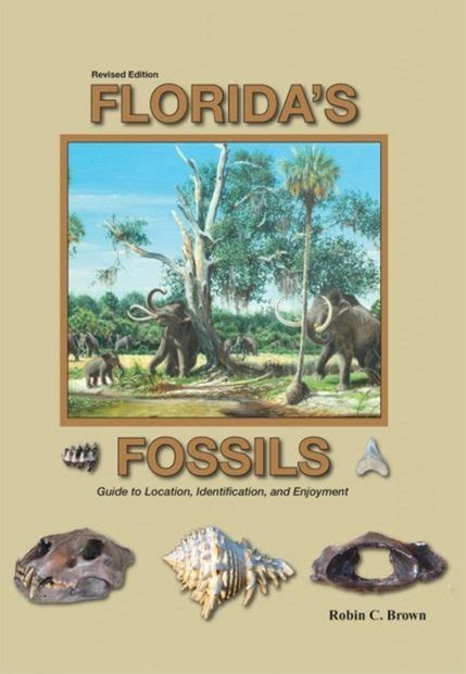 Floridas fossils guide to location identification and enjoyment. - Caregivers guide for canadians by rick lauber.