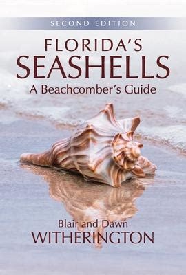 Download Floridas Seashells A Beachcombers Guide By Blair Witherington