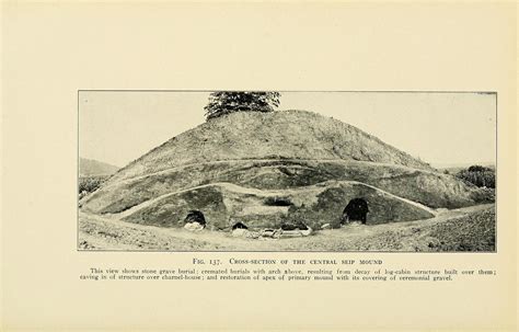 Floripedia: Burial Mounds in South Florida - University of South Florida