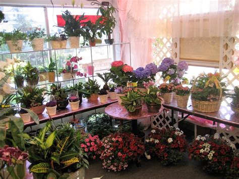 Florist Port Chester NY - Flower Delivery In Port Chester New York