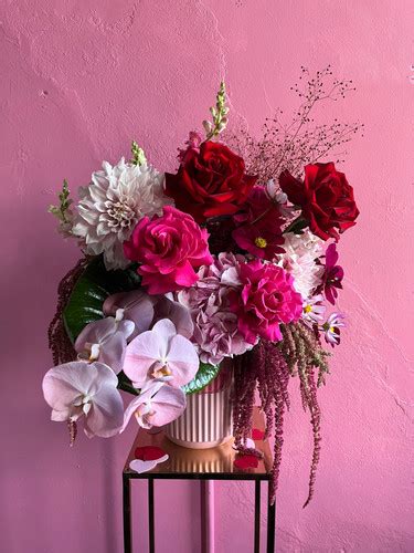 Florist newtown sydney. .  <a href=https://samet-liftup.4alabs.com/vmy4ne/index...