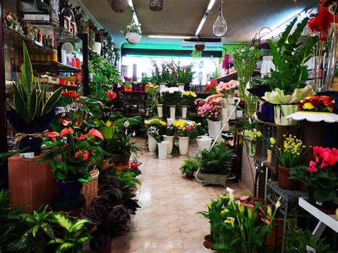 Floristeria. Top 10 Best Florists Near Fayetteville, North Carolina. 1 . Ann’s Flower Shop. “I live in Atlanta, and had never used the services of this florist. They did a BEAUTIFUL job.” more. 2 . Skyland Florist & Gifts. “Great florist shop. 