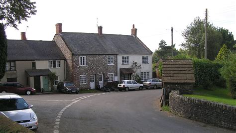 Florists in Buckland St. Mary, Chard, Somerset - thomsonlocal