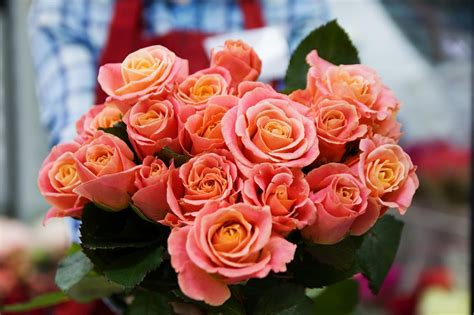 Florists in fort lauderdale. Things To Know About Florists in fort lauderdale. 