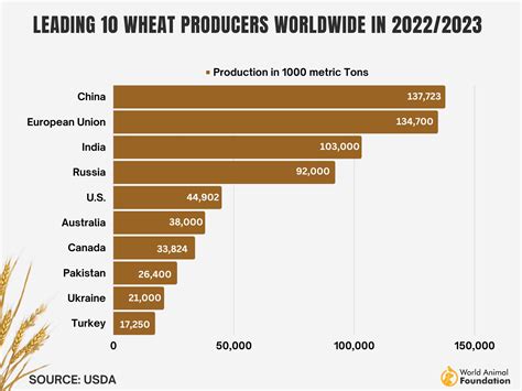 Flour import Data in Ukraine Flour importer Data & Price