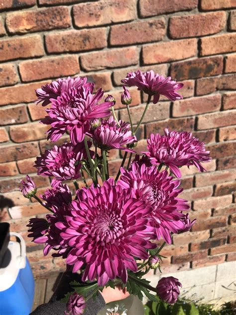 Flourishdarling Onlyfans Leaked [SEX VIDEO] 164 Videos