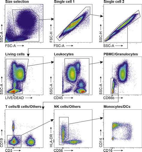Flow Cytometry Data Standards Screen Records 2