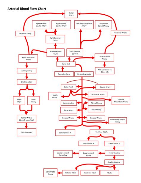 Flow chart in physiology for mbbs. - The beginners guide to quantum psychology.