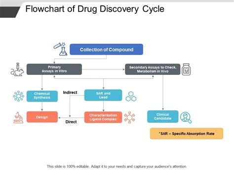 Flowchart Of Drug Discovery Cycle PowerPoint Presentation Sample