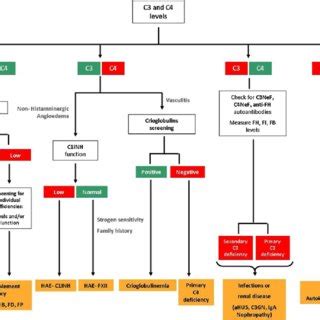 Flowchart of tests for the characterization of Complement... Download