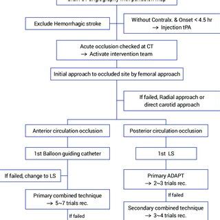 Flowchart of the “Stroke Code” Protocol. Abbreviations CT, computed