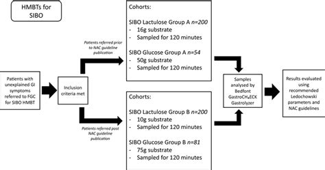 Flowchart to demonstrate the methods process for analysis of SIBO