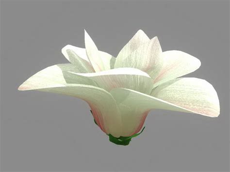 Flower 3d model free download