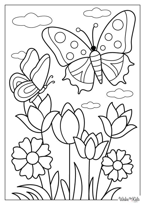 Flower And Butterfly Coloring Pages