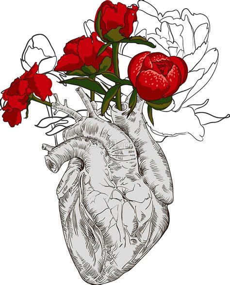 Flower And Heart Drawing