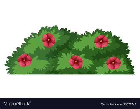 Flower Bush Vector Images (over 20,000)