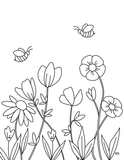 Flower Coloring Sheet Free