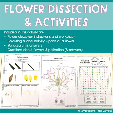 Flower Dissection Teaching Resources