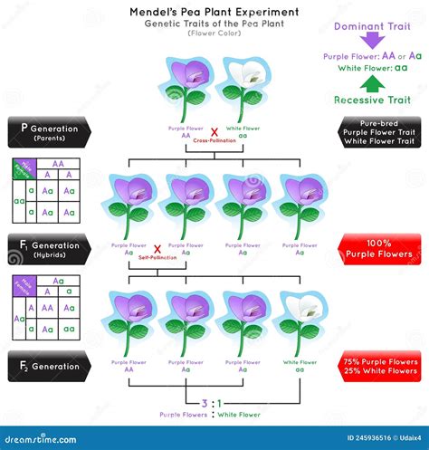 Flower Genetics LLC - Overview, Competitors, and Employees