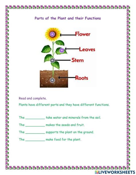 Flower Parts And Their Functions Worksheets Home Alqu