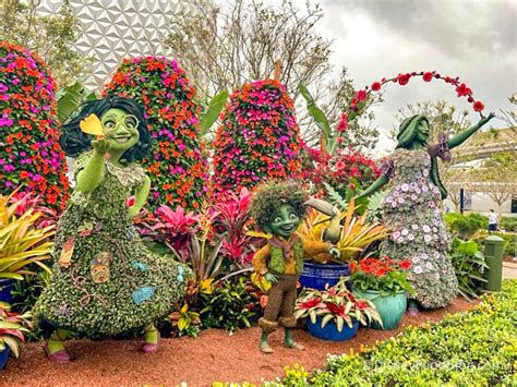 Flower and Garden Festival Butterflies 2024 - Disney Dooney and …