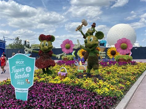 Flower and garden festival 2024. The EPCOT International Flower & Garden Festival follows the EPCOT International Festival of the Arts, which will run from January 12 through February 19, 2024. An end date for the 2024 EPCOT ... 