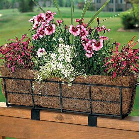 Flower boxes menards. Uh-oh. Your browser version is no longer supported! Upgrade to one of these for free: Google Chrome, Mozilla Firefox, Microsoft Edge. 