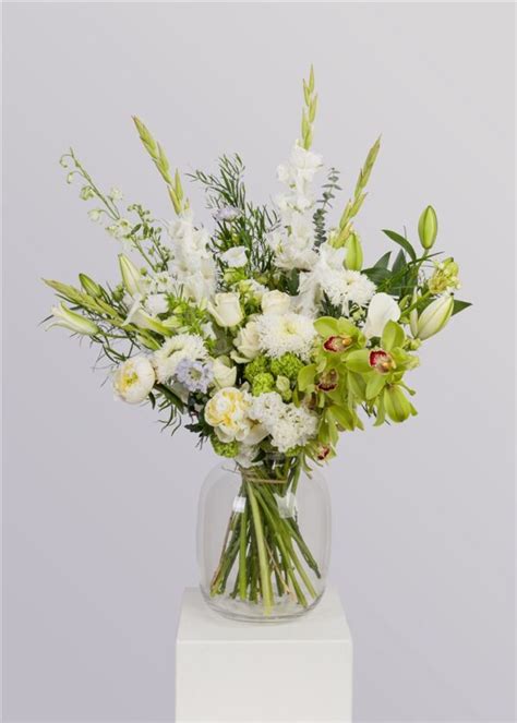 Flower delivery amsterdam sunday. .  <a href=https://lake-curator-alpha.nexlabs.co.uk/build/...