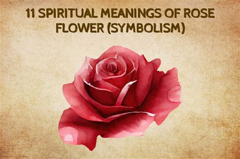 Flower symbolism.  It&rsquo;s no surprise that poets, writers, and thinkers hav...