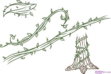 Flower vines drawing.  It is important to draw your vine design before L...