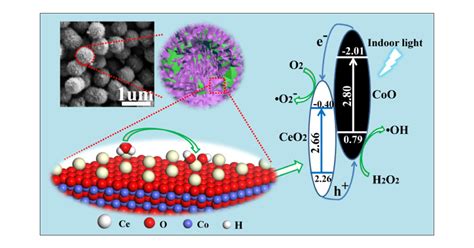 Flower-like CeO2/CoO p–n Heterojuncted ... - Semantic Scholar