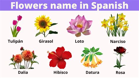 😈 XXX Flower_In_Spanish Leaks