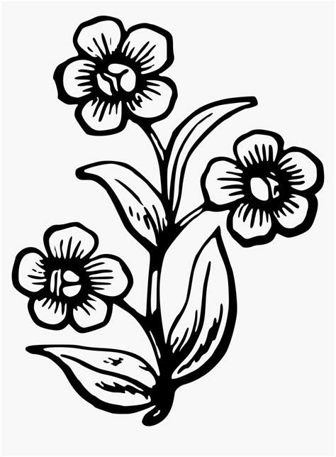 Flowering Plants Drawing