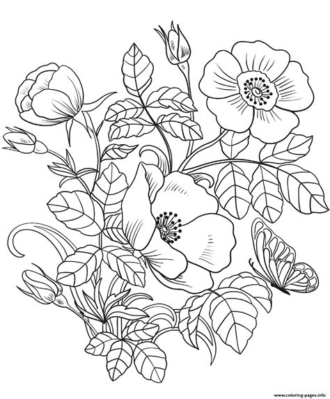 Sonic Knuckles Coloring Page