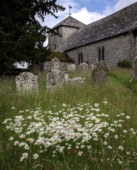 Flowers Llandeilo