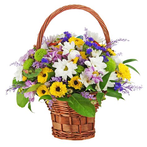 Flowers and Gift Baskets - Florist Canada Flower …