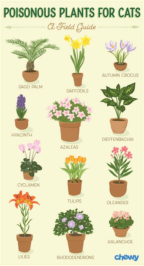 Flowers bad for cats. There are many unique flowers throughout the world that have interesting backgrounds. Rather than list A to Z flower names of more common species, this list provides a fun look int... 