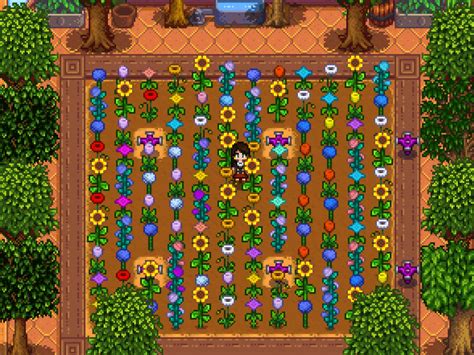 Flowers in Stardew Valley: The Beauty of the 4 Seasons